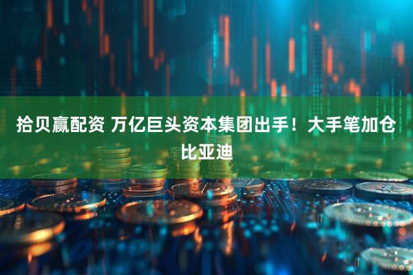 拾贝赢配资 万亿巨头资本集团出手！大手笔加仓比亚迪